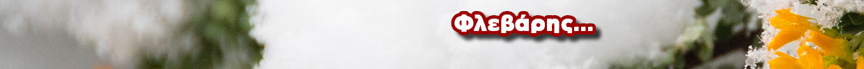 banner_ear_ΦΛΕΒΑΡΗΣ