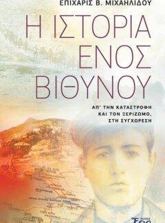 Η ΙΣΤΟΡΙΑ ΕΝΟΣ ΒΙΘΥΝΟΥ